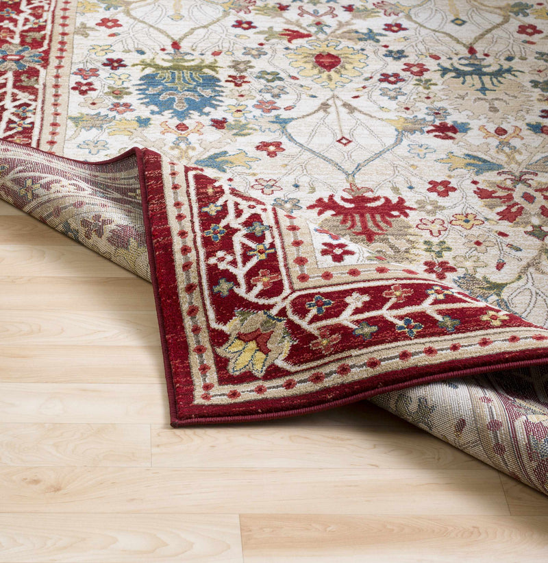 Neola White/Red Damask Area Rug