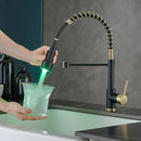 GobekUsa Brass Spring Spout Kitchen Faucet with Single Lever Pull Down Mixer Tap
