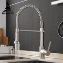GobekUsa Brass Spring Spout Kitchen Faucet with Single Lever Pull Down Mixer Tap