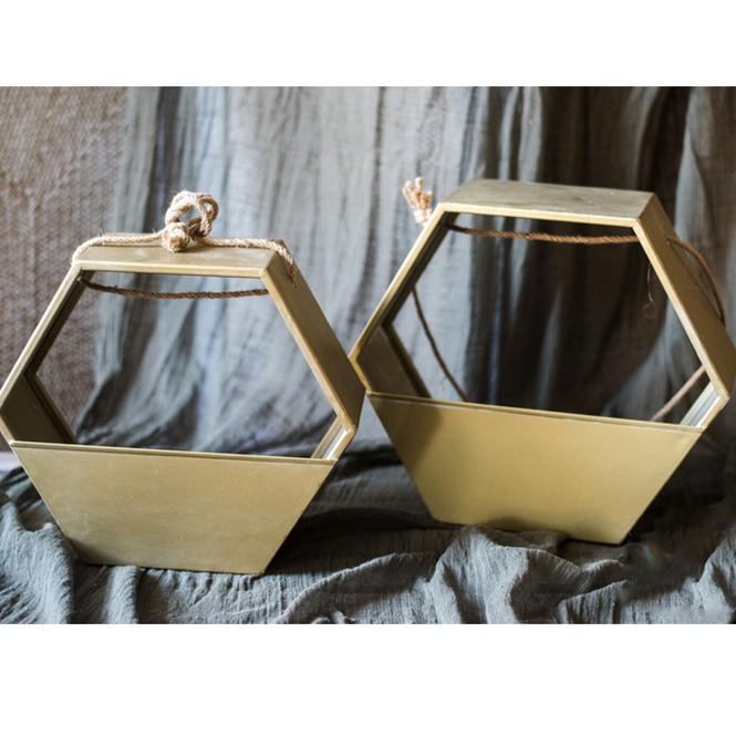 Gold Metal Planter Hexagon Hanging Planter