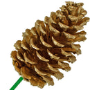 Gold Pine Cones by Lee Display
