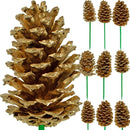 Gold Pine Cones by Lee Display