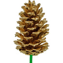 Gold Pine Cones by Lee Display