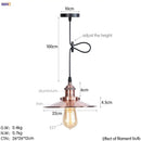GobekUsa Gold Retro Edison LED Pendant Lights for Dinning Living Room Industrial Decor