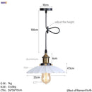 GobekUsa Gold Retro Edison LED Pendant Lights for Dinning Living Room Industrial Decor