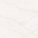 MSI Brighton Gold 12X24