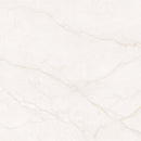 MSI Brighton Gold 12X24