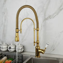 GobekUsa Golden Kitchen Faucet Vessel Sink Swivel Mixer Tap with Pull Down Spring