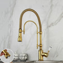 GobekUsa Golden Kitchen Faucet Vessel Sink Swivel Mixer Tap with Pull Down Spring