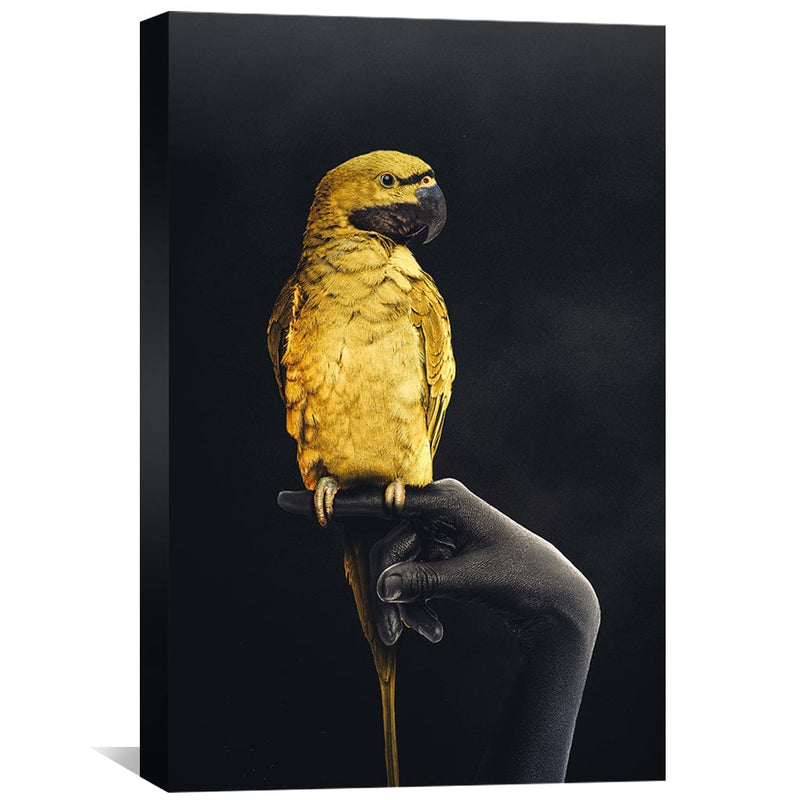 Golden Parrot Canvas