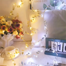 GobekUsa Golden Silver Leaf Fairy Lights for Events