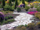 MSI Golden White®Flagstone