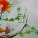 GobekUsa Goldfish Glass Waterfall Faucet for Bathroom Sink - Chrome Brass Mixer Tap