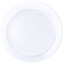 Goodlite Aster 2" Accessory Lenses