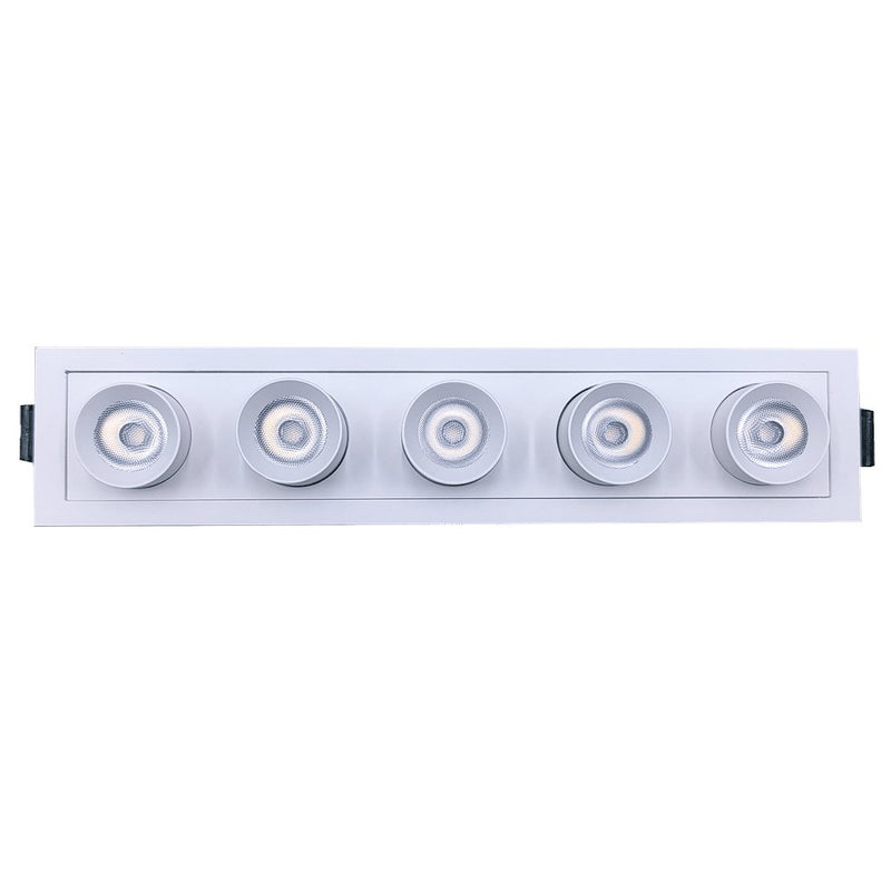 Goodlite Dipper G21055 2" 15W 5 Head Retractable Downlight Selectable CCT