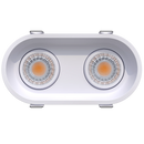 Goodlite G-23302 3" 15W 2 Head Oval Trim Gimbal Selectable CCT