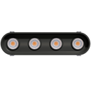 Goodlite G-23314 3" 30W 4 Head Oval Trim Gimbal Selectable CCT