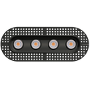 Goodlite G-23334 3" 30W 4 Head Oval Trimless Gimbal Selectable CCT