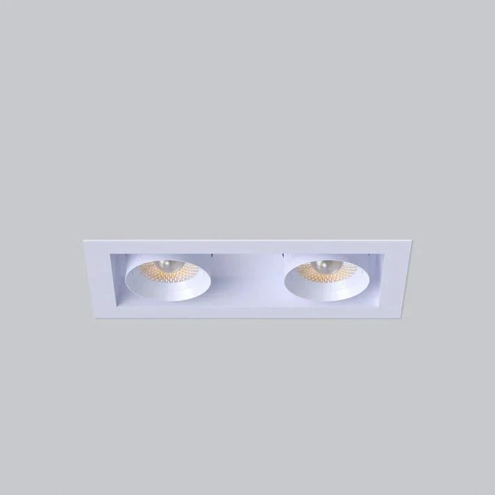 Goodlite G-32502 3" 24W Two Head Retractable Downlight Selectable CCT