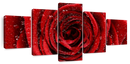 Damp Red Rose Wall Art