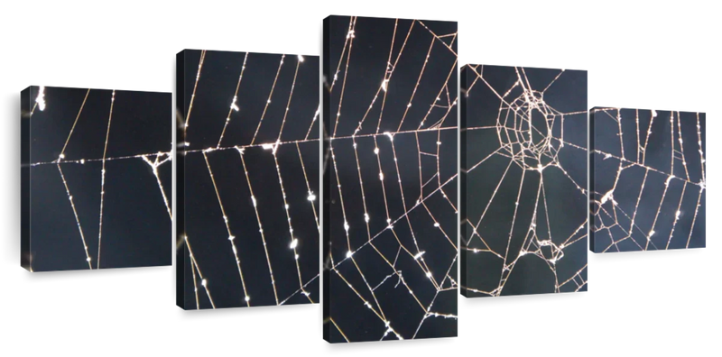 Spider Web Wall Art