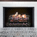 Grand Canyon Lava Front View Variable Electronic Ignition Natural Gas Vented Burner (SAK92647)