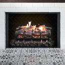 Grand Canyon Lava Front View Variable Electronic Ignition Natural Gas Vented Burner (SAK92647)