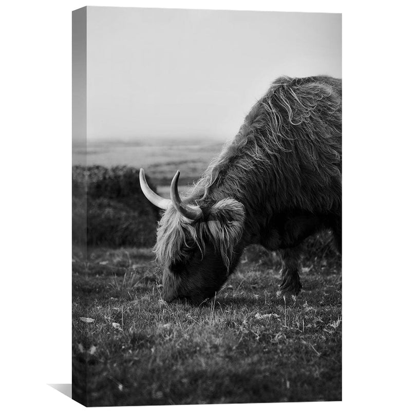 Grass Fed Cow Canvas