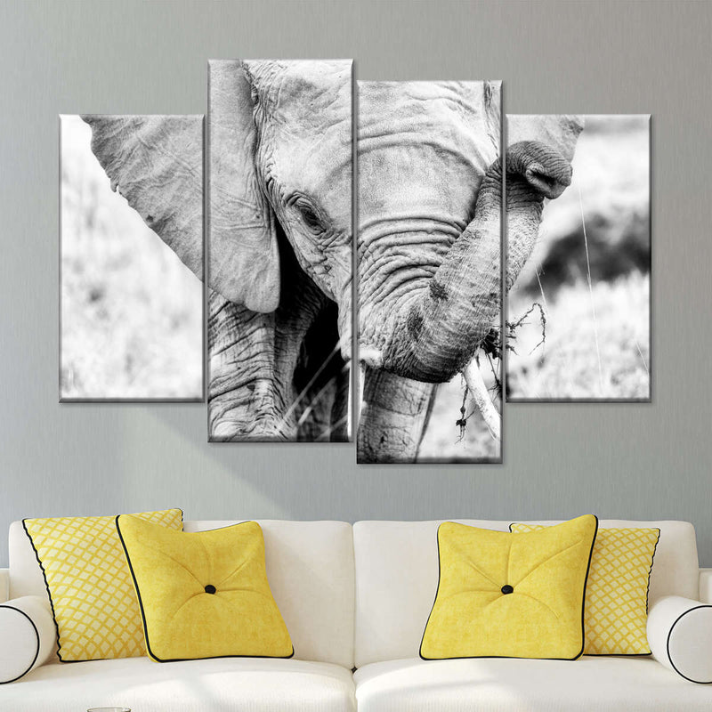 Kenyan Baby Elephant Wall Art