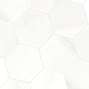 MSI Greecian White 8" Hexagon Polished