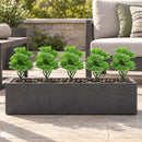 Green Aeoniums Succulent Artificial Topiary Set of 5 11.8in – UV Resistant