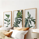 Botanical Set of 3 Prints. Tropical Monstera, Rubber Plant by Wall Art Set