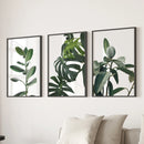 Botanical Set of 3 Prints. Tropical Monstera, Rubber Plant by Wall Art Set