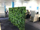 Sample Panel – Green Tropics Vertical Garden (Small Sample) by Designer Plants USA