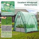6 x 6 x 6.6 FT Outdoor Wall-in Tunnel Greenhouse by LJGDeals