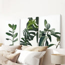 Botanical Set of 3 Prints. Tropical Monstera, Rubber Plant by Wall Art Set