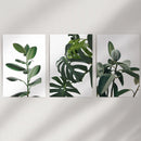 Botanical Set of 3 Prints. Tropical Monstera, Rubber Plant by Wall Art Set