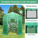 Walk-In Hexagonal Greenhouse with PE Cover and Metal Frame by LJGDeals