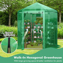 Walk-In Hexagonal Greenhouse with PE Cover and Metal Frame by LJGDeals