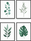 Botanical illustration