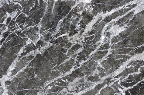 Grigio Carnico Marble