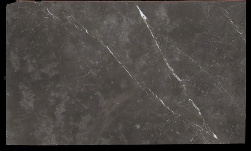 Grigio Collemandina Marble