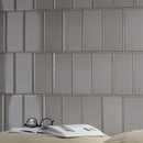 Grigio Glossy Ceramic Tiles 4x8