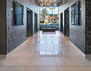 MSI Grigio Porcelain Tile