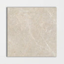 Gris Fawn Polished Marble Tiles 24x24