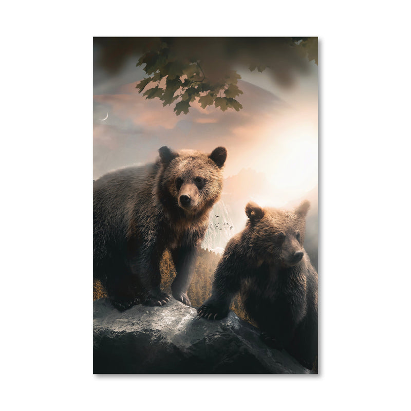 Grizzly Sunrise Canvas