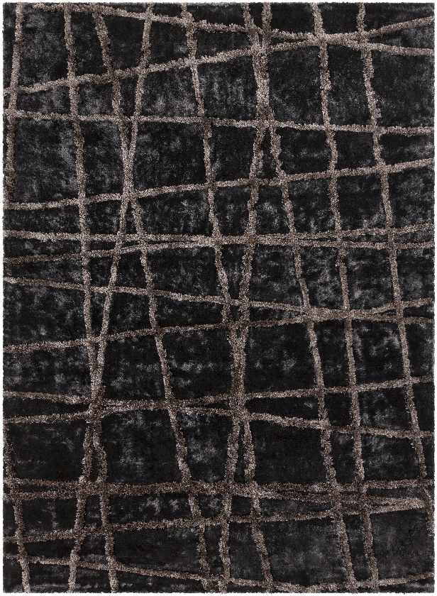 Birchwood Modern Charcoal Area Rug