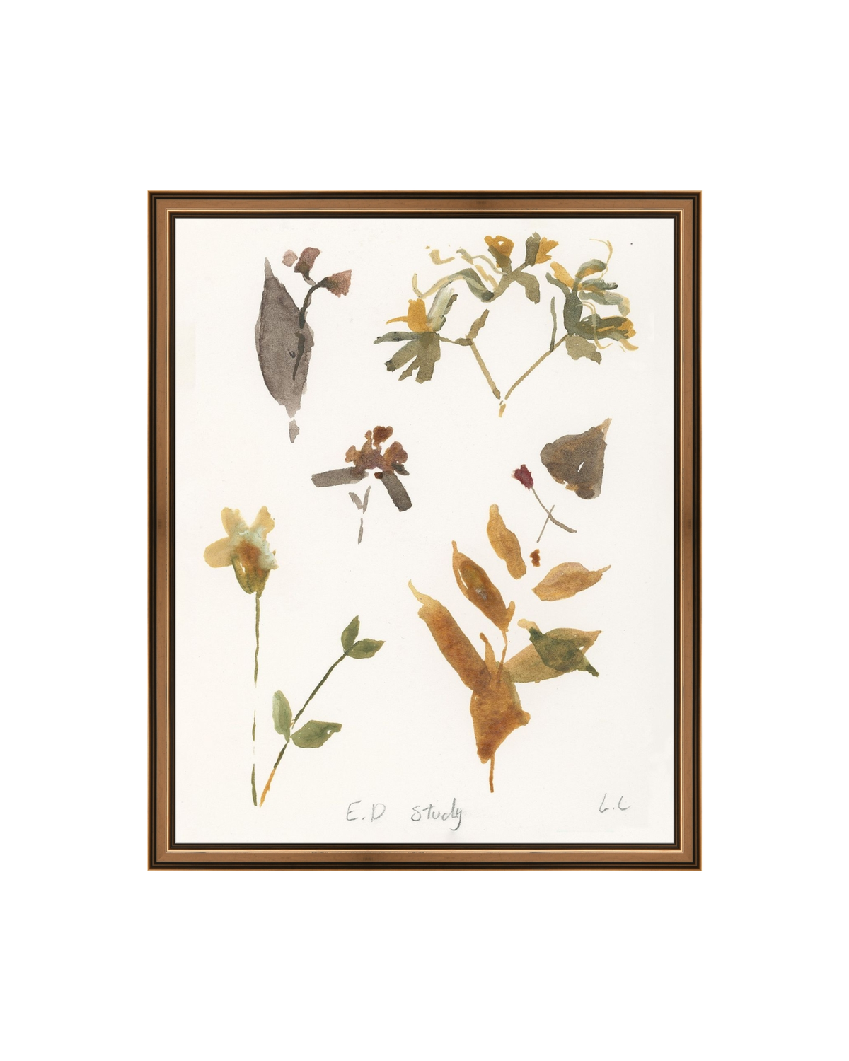E.D Botanical Study, photo 4 of 34