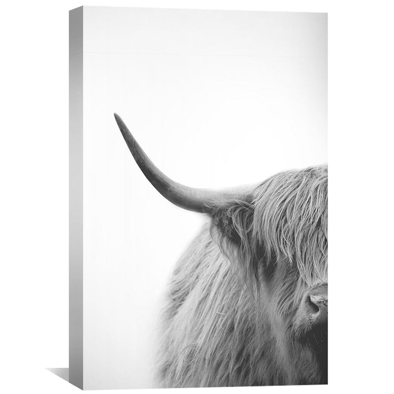 Half Highland Canvas