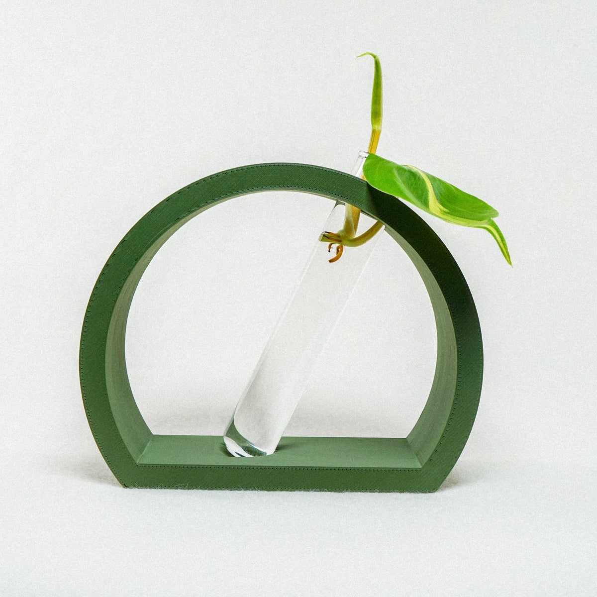 Half-Moon Propagation, photo 12 of 13